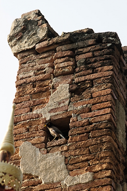 Wat Phu Khao Thong-014